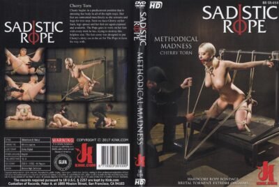 Methodical Madness - Image 3