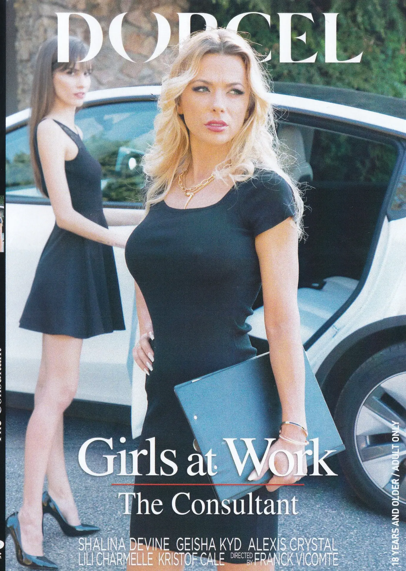 Girls At Work - The Consultant