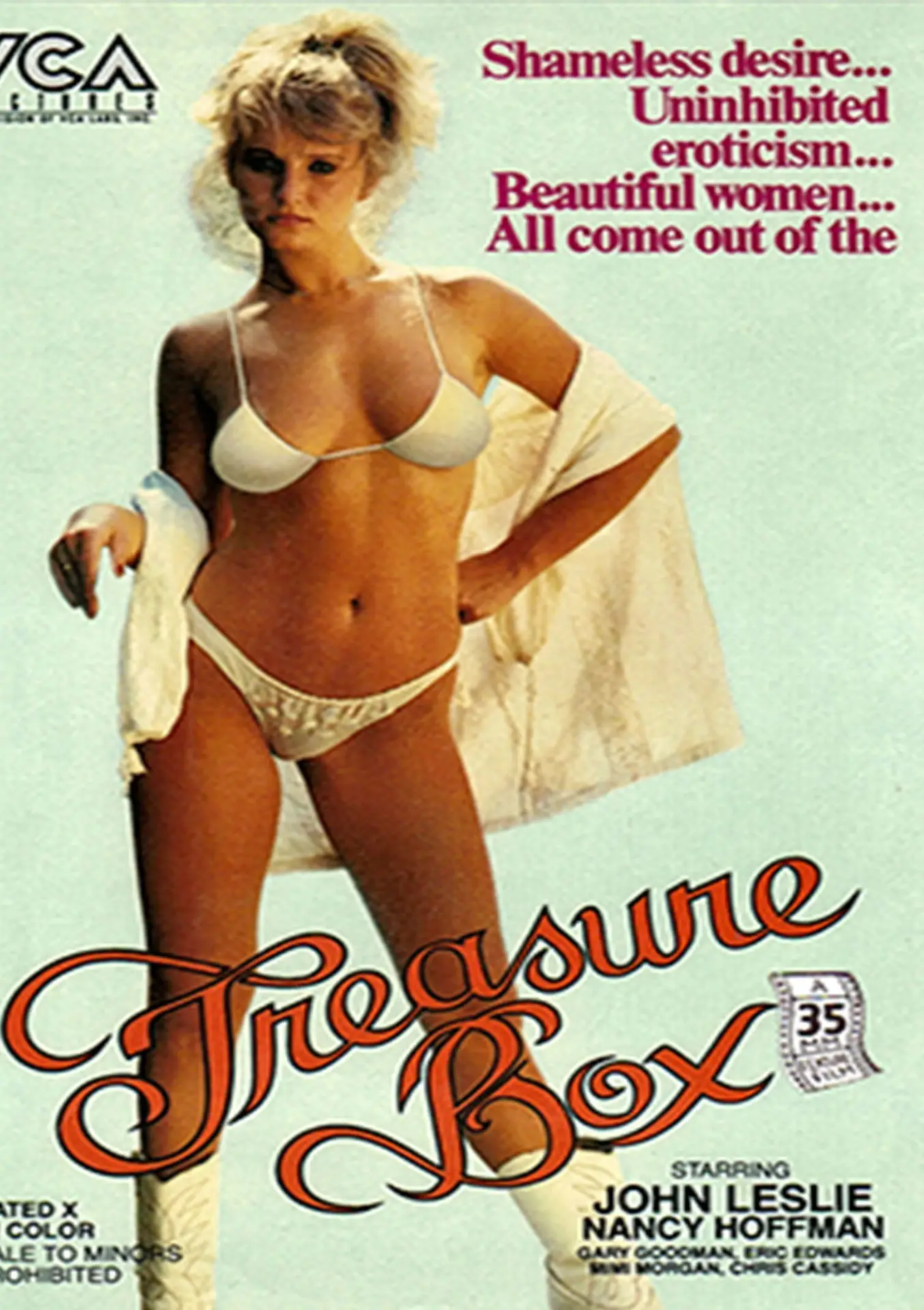 Treasure Box (VCA Pictures)